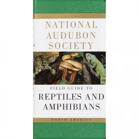 Reptiles & Amphibians: National Audubon Society Field Guide