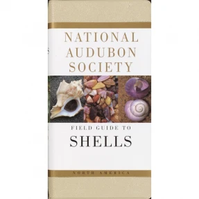 Shells: National Audubon Society Field Guide