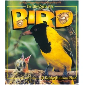 The Life Cycle of a Bird Book