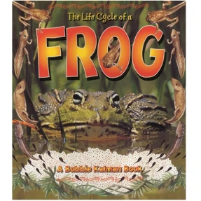 The Life Cycle of a Frog Book
