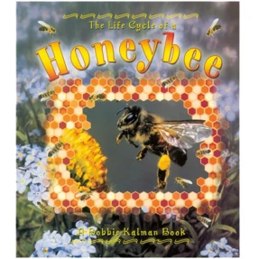 The Life Cycle of a Honeybee Book