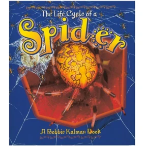 The Life Cycle of a Spider Book