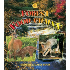 Forest Food Chains Book