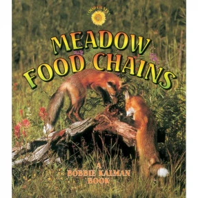 Meadow Food Chains Book