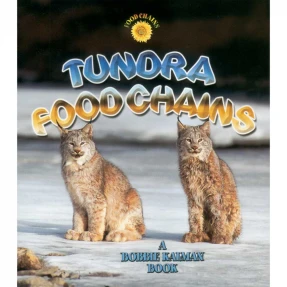 Tundra Food Chains Book