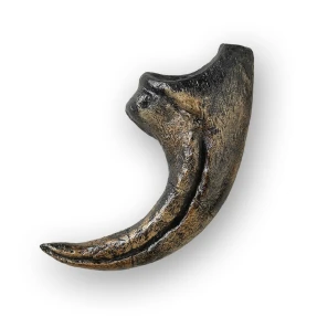 Allosaurus Claw Replica