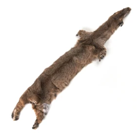 Bobcat Skin