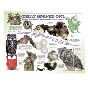 Great Horned Owl Poster