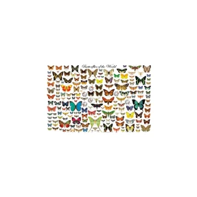 Butterflies of the World Laminated Poster