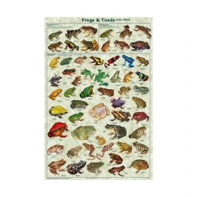 Frogs and Toads Poster