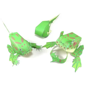 Frog Life Cycle 3-D Model Kit