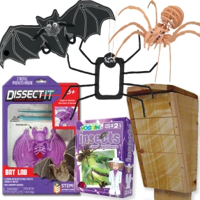Bats and Spiders Bundle
