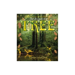 The Life Cycle of a Tree Book