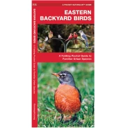 Eastern Backyard Birds Pocket Naturalist Guide
