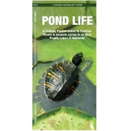 Pond Life Pocket Naturalist Guide