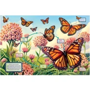 Life Cycle of a Monarch Butterfly Puzzle