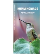 Hummingbirds Pocket Naturalist Guide