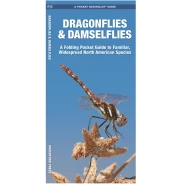 Dragonflies and Damselflies Pocket Naturalist Guide