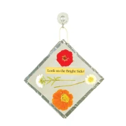 Here Comes the Sun-Catcher Activity Kit