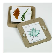 Leaf & Flower Press Activity Kit