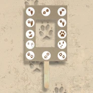 Animal Track Identifier Project