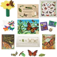 Butterfly Bundle