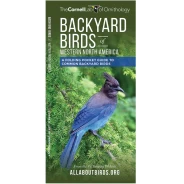 Backyard Birds, Western: Cornell Lab Pocket Guide