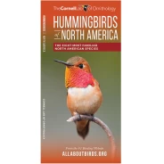 Hummingbirds: Cornell Lab Pocket Guide