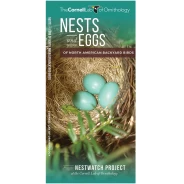 Nests and Eggs: Cornell Lab Pocket Guide