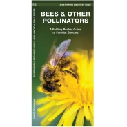 Bees & Other Pollinators Pocket Naturalist Guide
