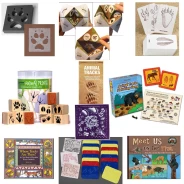 Animal Track Bundle