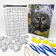 Owl Pellet Dissection Kit (25 participants)