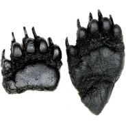 Black Bear (Young ) Track: Vinyl Replicas (front & hind)