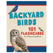 Backyard Birds Identification Flashcards