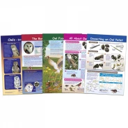 Owl and Owl Pellet Bulletin Board Chart Set