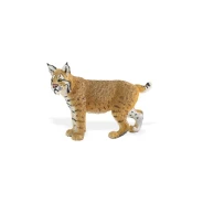 North American Bobcat Replica