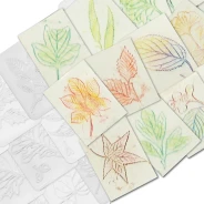 Leaf Rubbing Plates