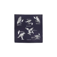 Birds of Prey Bandanna