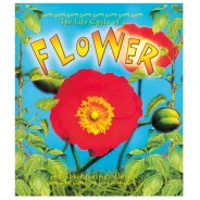 The Life Cycle of a Flower Book