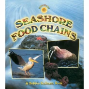 Seashore Food Chains Book