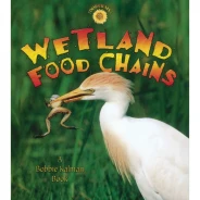 Wetland Food Chains Book
