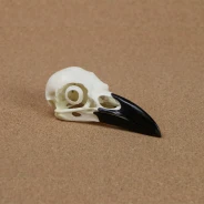 Raven Skull Replica