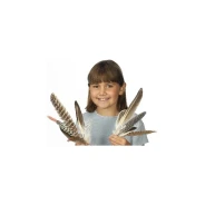 Feather Assortment Set (10 Feathers)